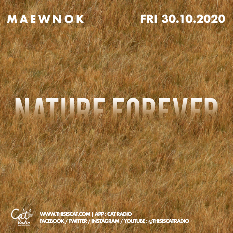 รายการแมวนอก Tracklisting Friday 30 October 2020 Nature Forever